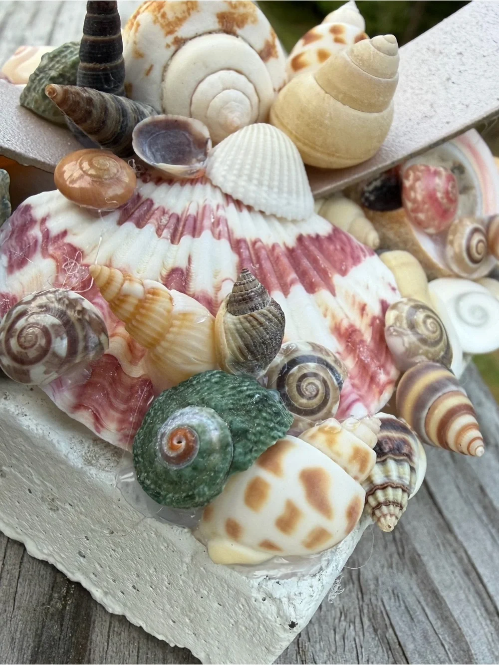 Coastal Decor | Tealight Candle | SeaShell Sculpture